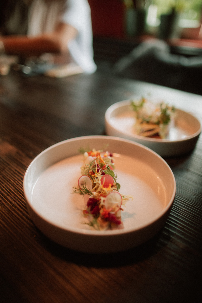 1M7A6224 | thismomentpictures - Realisiert mit Pictrs.com