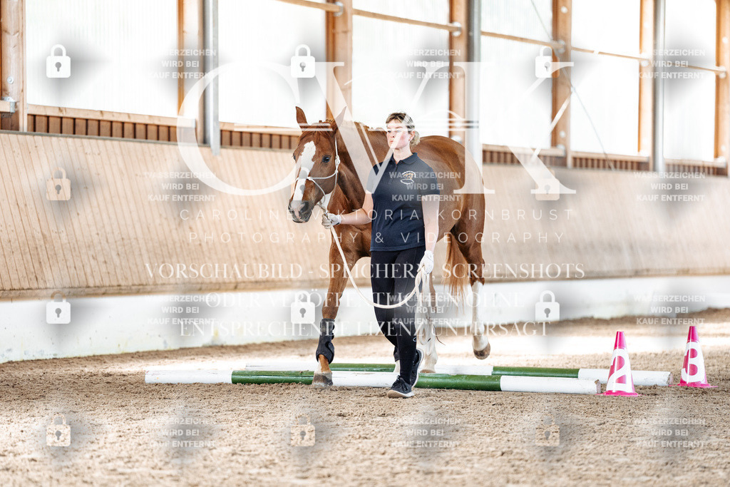 CK906071 | Turnierfotografie Pferdefotografie Trier Rheinland-Pfalz Pferdesport Reitsport Tierfotografie Sportfotografie Pferdevideo Pferdevideografie Equestrianvideography equestrianphotography  - Realisiert mit Pictrs.com