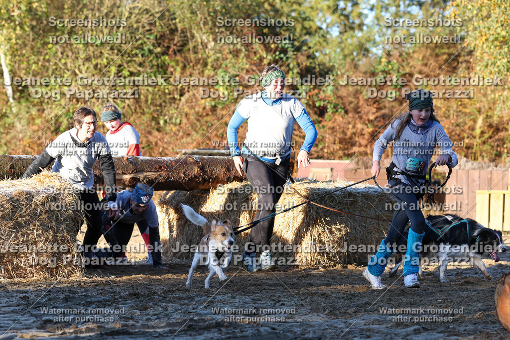 Dog Paparazzi - Strongdog 10-25-790 | Dog Paparazzi Jeanette Grottendiek Fotografie & Videografie - Realisiert mit Pictrs.com