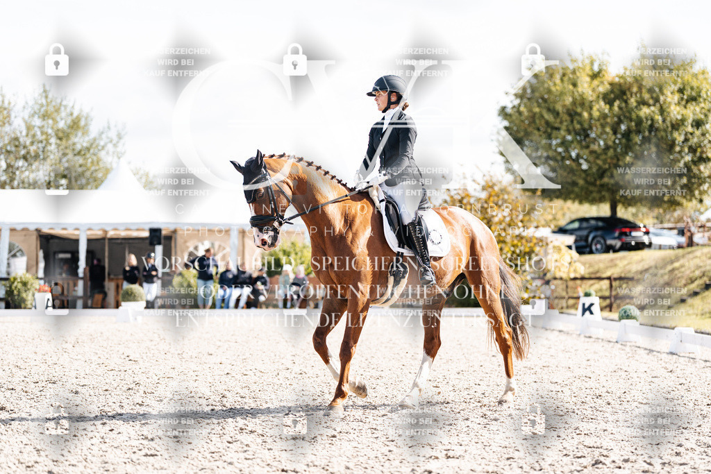 CK902213 | Turnierfotografie Pferdefotografie Trier Rheinland-Pfalz Pferdesport Reitsport Tierfotografie Sportfotografie Pferdevideo Pferdevideografie Equestrianvideography equestrianphotography  - Realisiert mit Pictrs.com