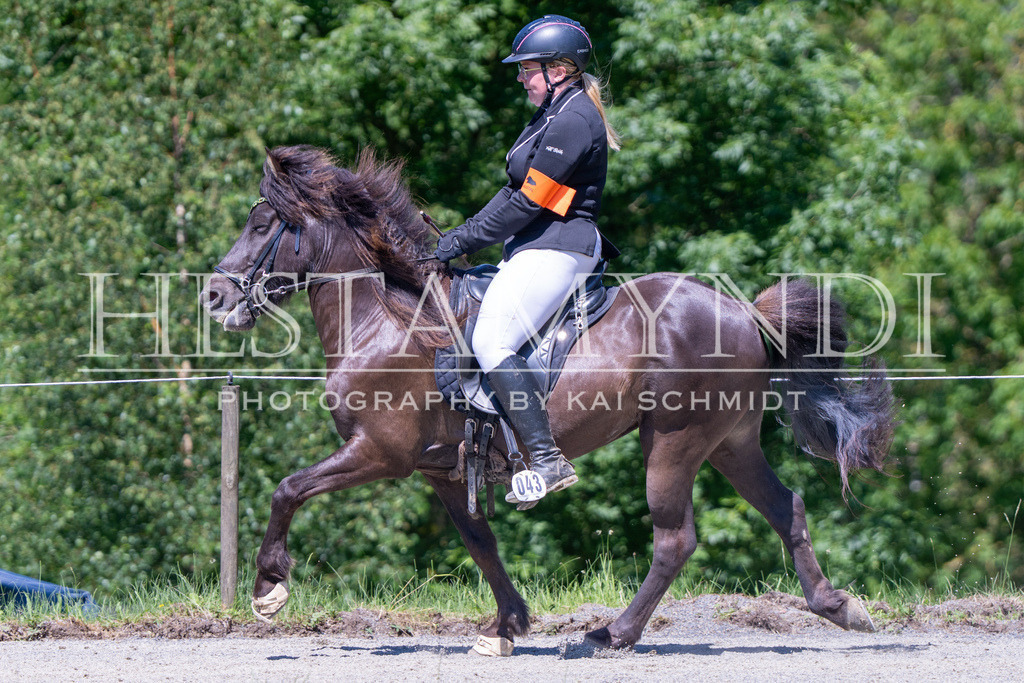 KAI09426 | Ihr sucht einen Fotografen für eure nächste OSI? Ich begleite auch euer Turnier für Islandpferde fotografisch.  - Realisiert mit Pictrs.com