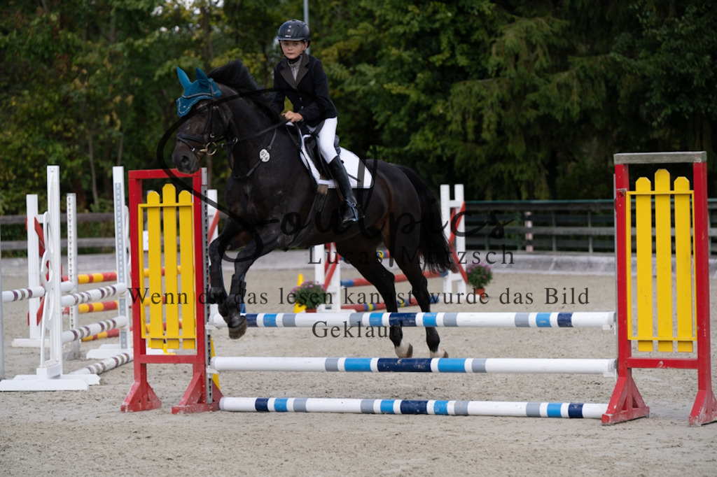 A7V07292 | Turnier/Reitfotograf