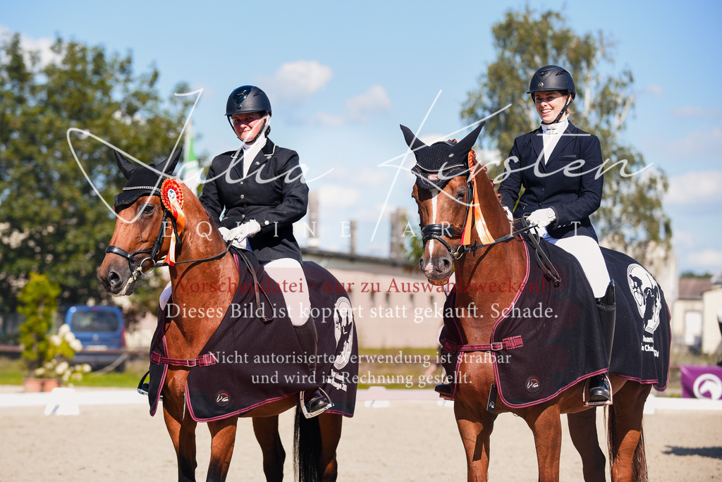 DSC_9778 | Pferde- und Turnierfotografie in Westsachsen. Pferdeportraits, Auftragszeichnungen und intuitive Kunst.