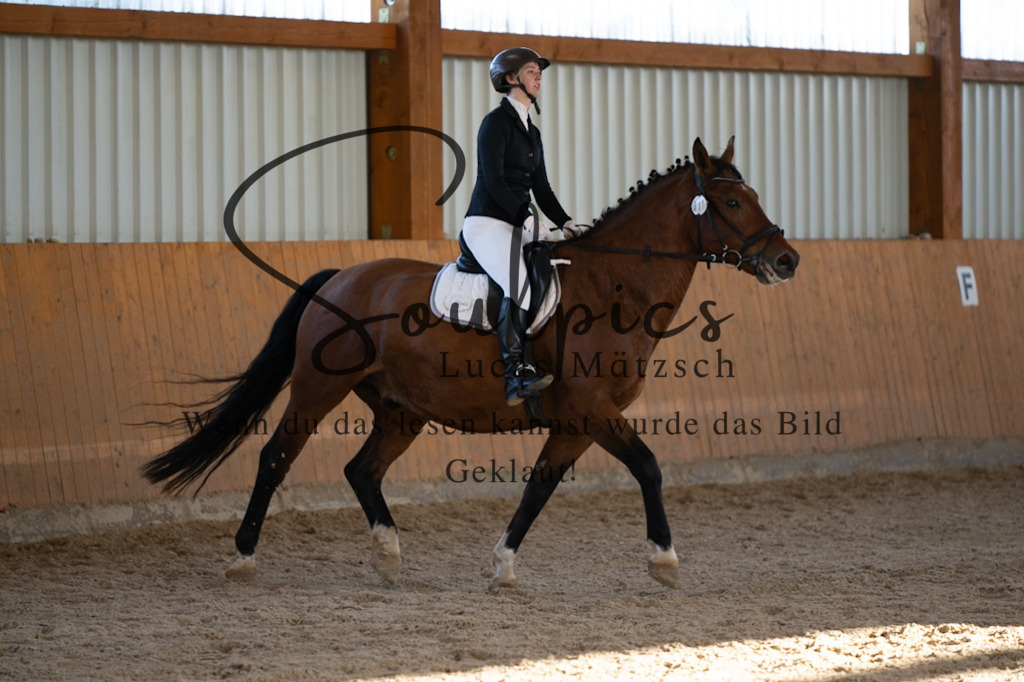 A7V01771 | Turnier/Reitfotograf