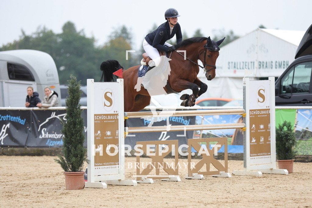 0P6A6760 | Willkommen bei Brunnmayr - Design & Fotografie – Ihrem Spezialisten für Reitturniere und Pferdeveranstaltungen in Oberösterreich, Salzburg und Bayern! Seit über 17 Jahren sind wir leidenschaftlich dabei.