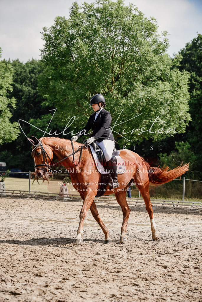 DSC_0278 | Pferde- und Turnierfotografie in Westsachsen. Pferdeportraits, Auftragszeichnungen und intuitive Kunst.