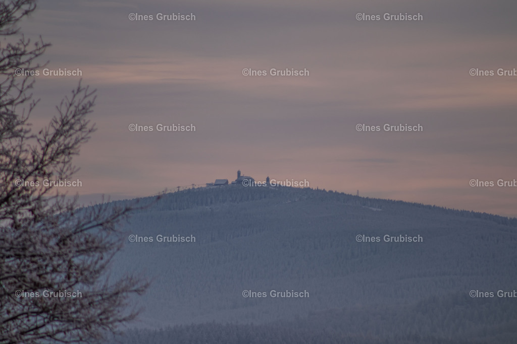 Fichtelberg | Lila Lubbenbomm - Artwork by Ines Grubisch - Realisiert mit Pictrs.com