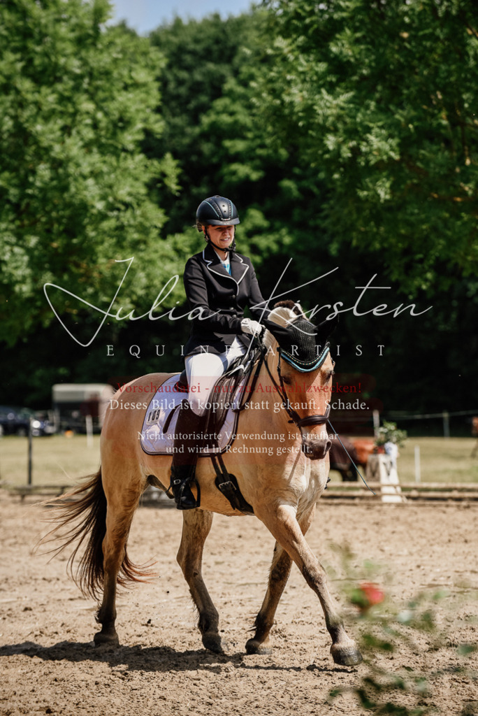 DSC_1666 | Pferde- und Turnierfotografie in Westsachsen. Pferdeportraits, Auftragszeichnungen und intuitive Kunst.