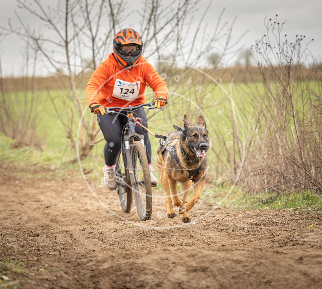 DV3A1049 | Hundefotografie, Tierfotograf, Pfotenfotografie, Fotoshooting Hund, Hunde Portrait, Hundesport, Hundeportraits, Heideshooting, Hunde, Sportfotograf, Hundefotograf, Turnierhundsport, THS,  - Realisiert mit Pictrs.com