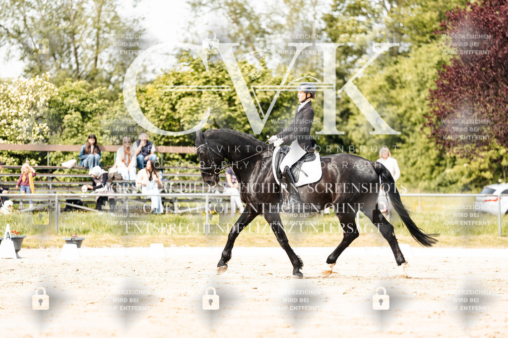 CK901015 | Turnierfotografie Pferdefotografie Trier Rheinland-Pfalz Pferdesport Reitsport Tierfotografie Sportfotografie Pferdevideo Pferdevideografie Equestrianvideography equestrianphotography  - Realisiert mit Pictrs.com