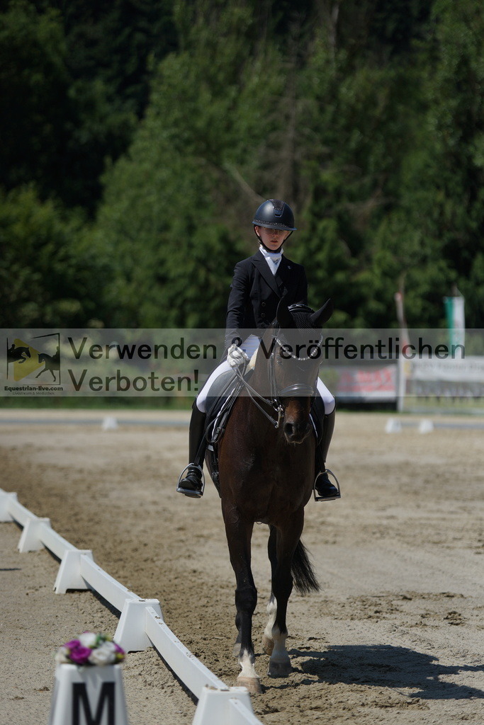DSC03252 | equestrian-live-com