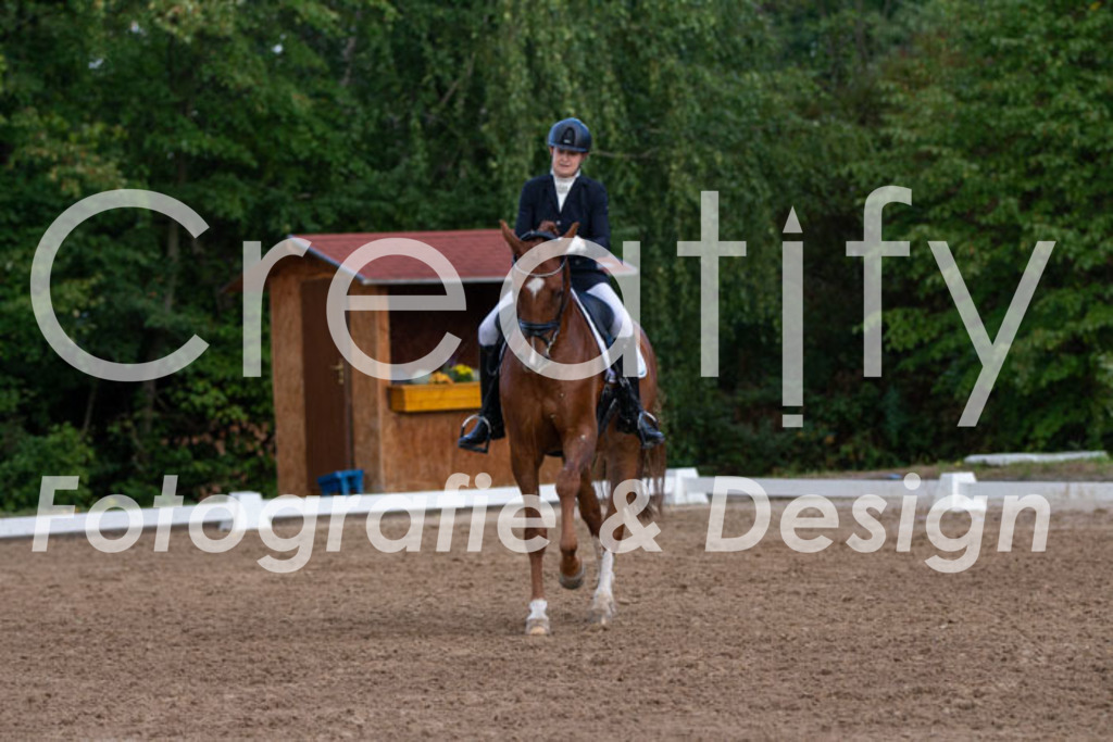 IMG_4216 | Creatify Fotografie