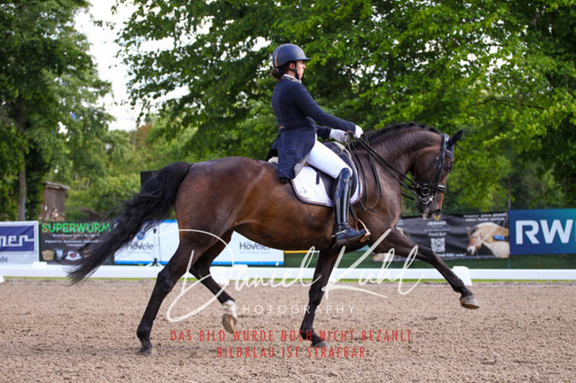 DKP41361 | Deine Turnierfotos vom Reitturnier online kaufen: Dressur, Springen & Siegerehrung. Professionelle Pferdefotografie aus dem Rheinland – als Download & Print.Alternative: Turnierfotograf für den Pferdesport: Finde deine Fotos von Dressur- und Springturnier