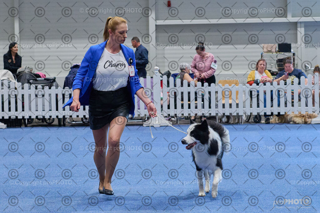 202406_ÖKV-IHA-Tulln24_DSC_5031 | proPHOTO - Realisiert mit Pictrs.com