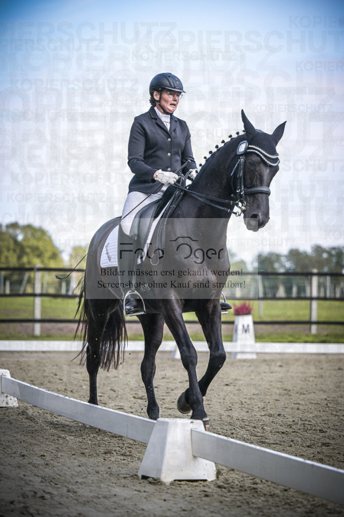 DOS_0869 | Entdecke hochwertige Reitturnierfotos von Foto Oger. Professionell, emotional und authentisch – jetzt Lieblingsmomente im Shop bestellen.Deutschlandweite Turnierfotografie. - Realisiert mit Pictrs.com