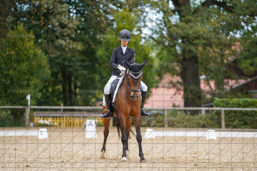 20231007-SN_00583 | Diessen am Ammersee, 2023, Dressur- und Springturnier, Reitsport, Turnierfotografie, Pferdebilder, Reitbilder, Turnierfotografen Bayern, Fotoagentur Herrmann