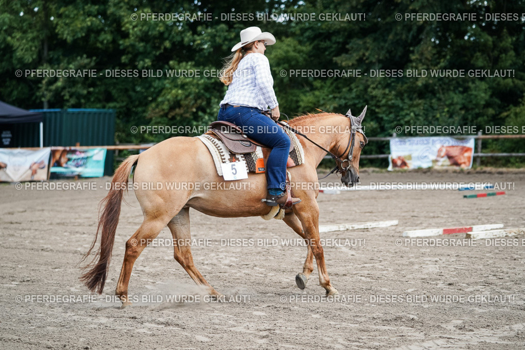 DSC05907 | Pferdegrafie