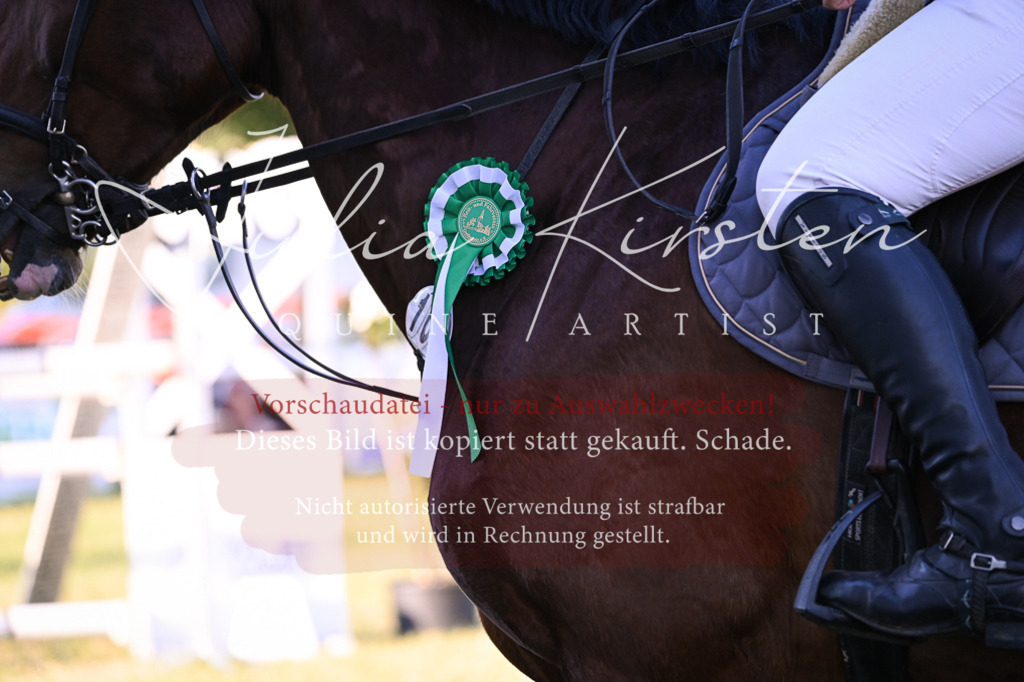 DSC_1919 | Pferde- und Turnierfotografie in Westsachsen. Pferdeportraits, Auftragszeichnungen und intuitive Kunst.