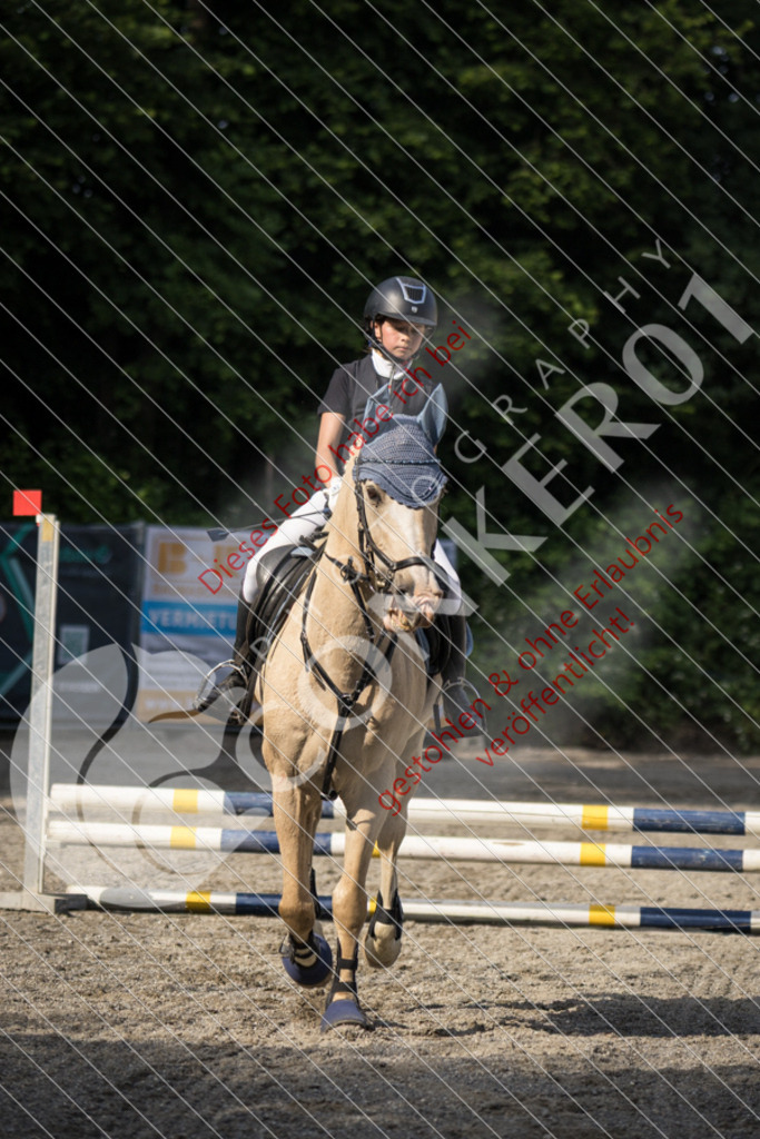IMG_5930 | Sport-, Event- und Tierfotos in Profiqualität. Einfach auswählen, bestellen und herunterladen. Dein Moment – perfekt festgehalten.