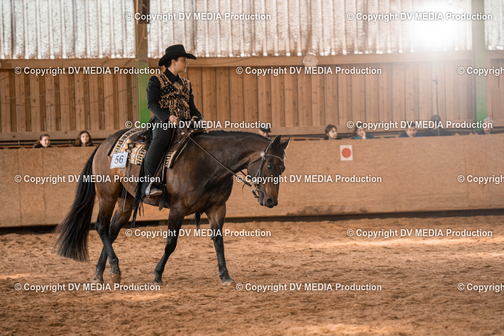 BAL02085 | dv-media-shop - Realisiert mit Pictrs.com