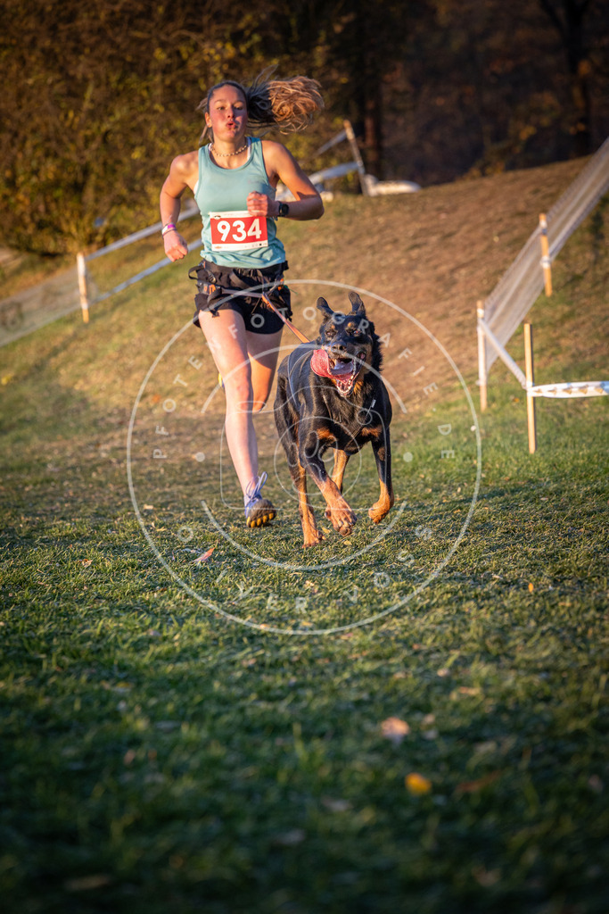 CaniXpix_0L8A1841 | Hundefotografie, Tierfotograf, Pfotenfotografie, Fotoshooting Hund, Hunde Portrait, Hundesport, Hundeportraits, Heideshooting, Hunde, Sportfotograf, Hundefotograf, Turnierhundsport, THS,  - Realisiert mit Pictrs.com
