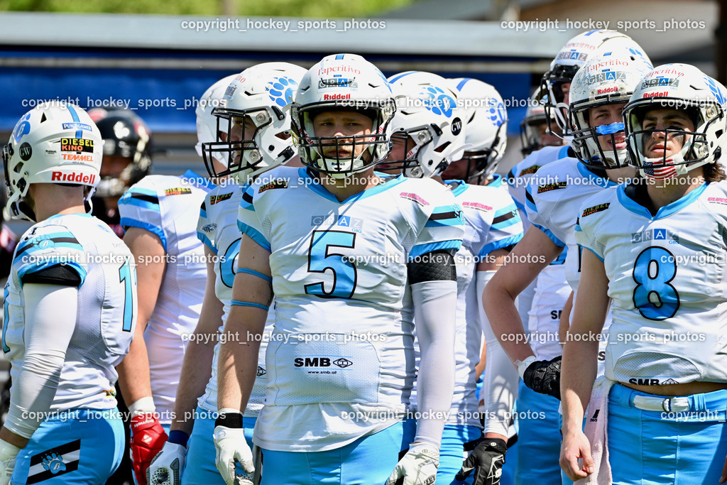 Carinthian Lions vs. Styrian Bears | Carinthian Lions vs. Styrian Bears, Carinthian Lions vs. Styrian Bears am 20.05.2024 in Klagenfurt (ASV Sportplatz), Austria, (Photo by Bernd Stefan)