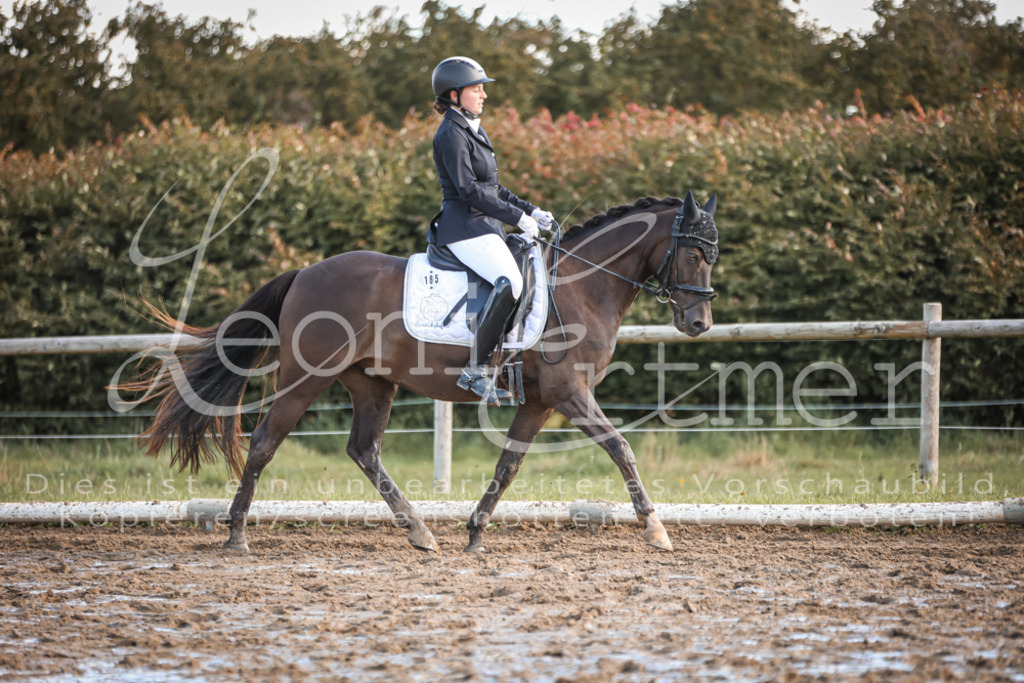 07.SoDrE00344 | Leoni Ertmer Photography - Realisiert mit Pictrs.com