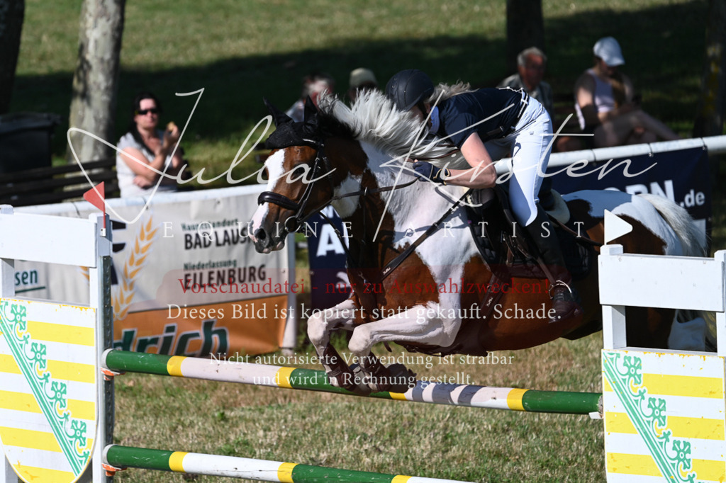 DSC_2409 | Pferde- und Turnierfotografie in Westsachsen. Pferdeportraits, Auftragszeichnungen und intuitive Kunst.