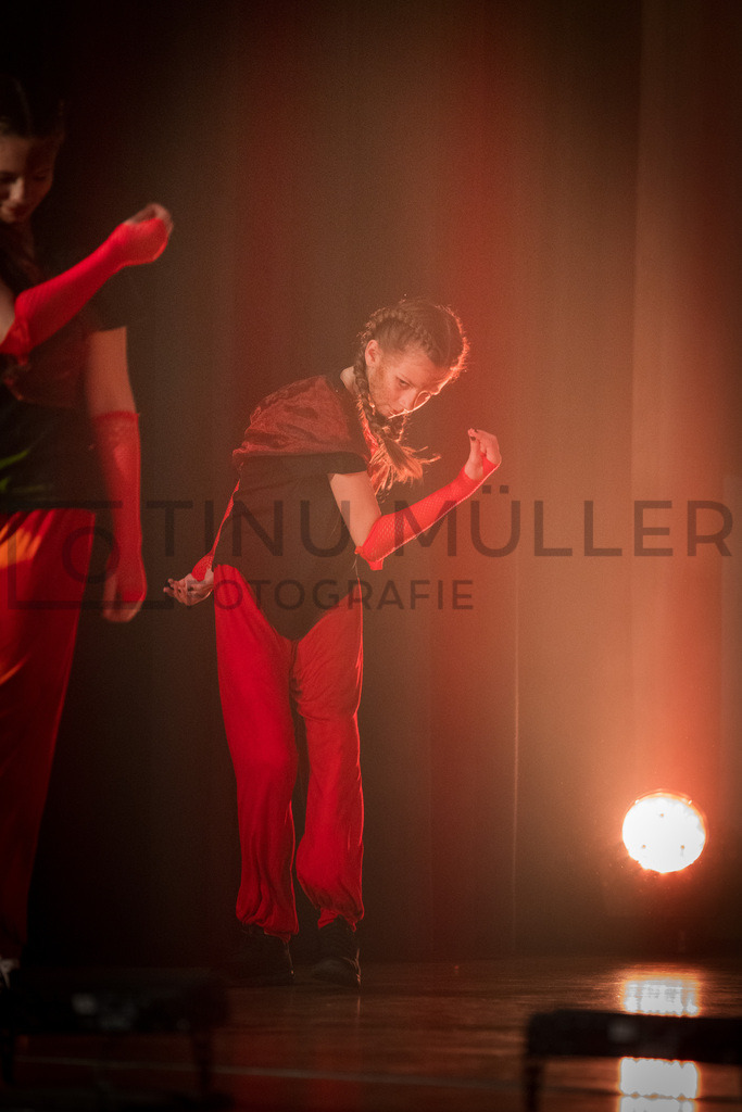 _DSC2548 | Tinu Müller Fotografie- Bildershop - Realisiert mit Pictrs.com