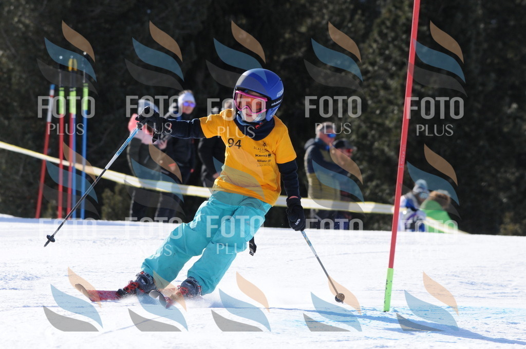 C7052 | holidayphoto