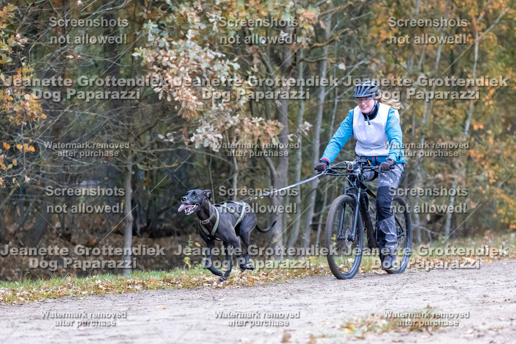 Dog Paparazzi - SD CaniX Championship 2025-285 | Dog Paparazzi Jeanette Grottendiek Fotografie & Videografie - Realisiert mit Pictrs.com