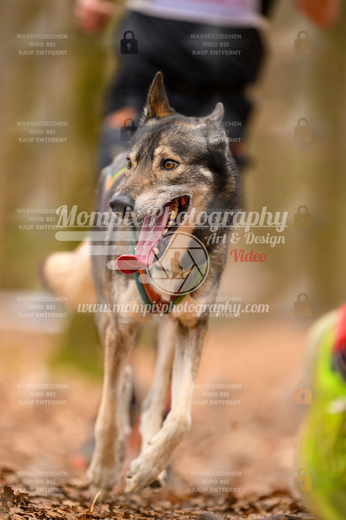 MompixPhotography_Habay2025_SA_CCC-25 | PayLife