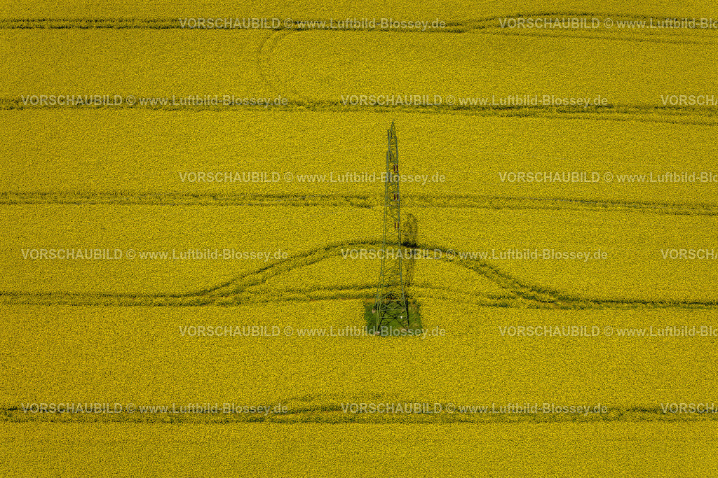 Sundern230504533Hoevel | Luftbild, Strommast in einem Rapsfeld, nahe der Bundesstraße B229, Formen und Farben, Estinghausen, Sundern, Sauerland, Nordrhein-Westfalen, Deutschland