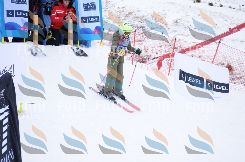 DSC_7796 | holidayphoto