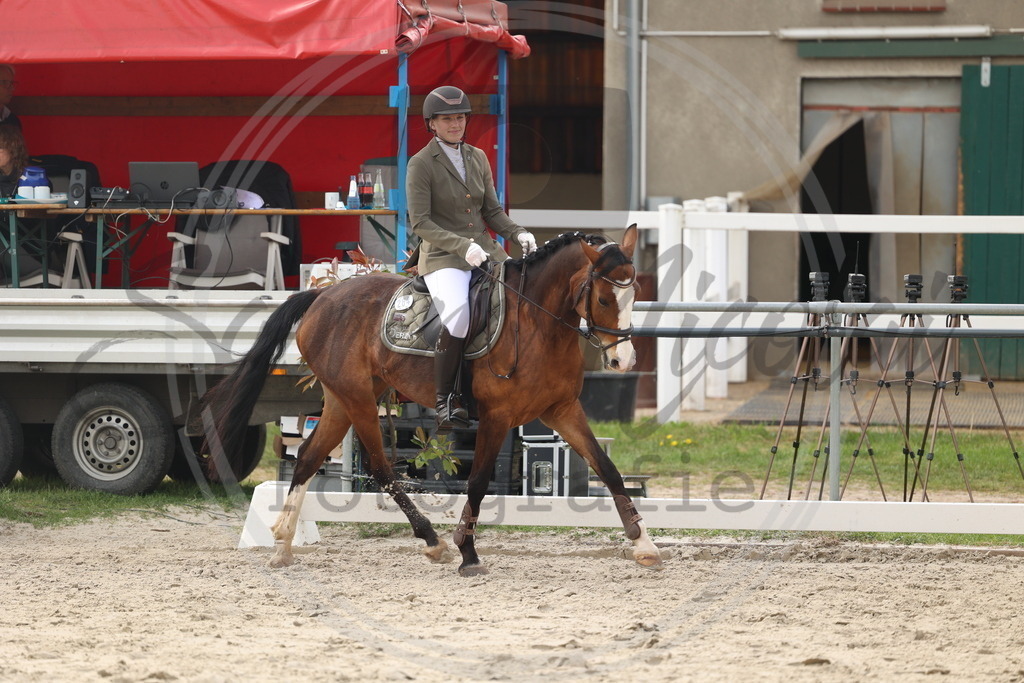 994A7858 | sabrinanicolaifotografie - Realisiert mit Pictrs.com