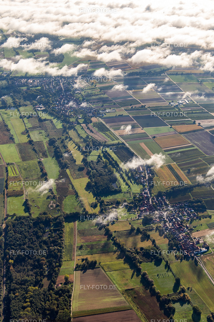 Billigheimer Bruch von Westen | Luftbild: Billigheimer Bruch von Westen im Ortsteil Mühlhofen in Billigheim-Ingenheim im Bundesland Rheinland-Pfalz in Deutschland. Foto: IMG_143495.jpg vom 29.09.2024 durch ©2025 Werner Riehm fly-foto.de/copyright - Realisiert mit Pictrs.com