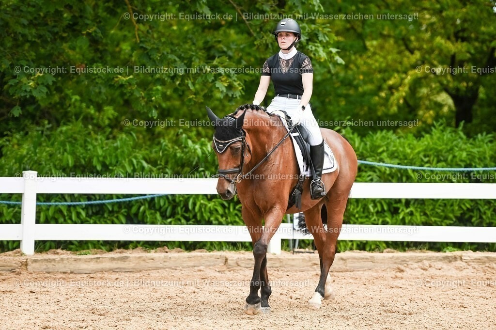 20230715_05_Dressurprüfung Kl.A++_0314 | equistock