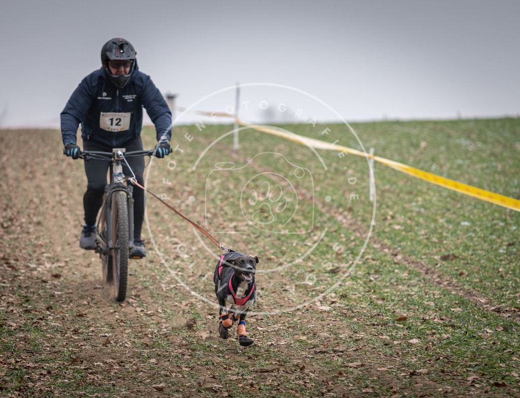 Pfotenfotografie_DV3A1324 | Hundefotografie, Tierfotograf, Pfotenfotografie, Fotoshooting Hund, Hunde Portrait, Hundesport, Hundeportraits, Heideshooting, Hunde, Sportfotograf, Hundefotograf, Turnierhundsport, THS,  - Realisiert mit Pictrs.com