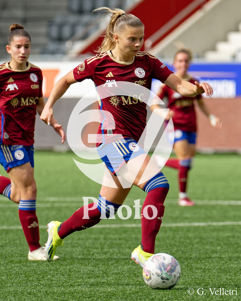 DSC_2797 | Velletri Photo