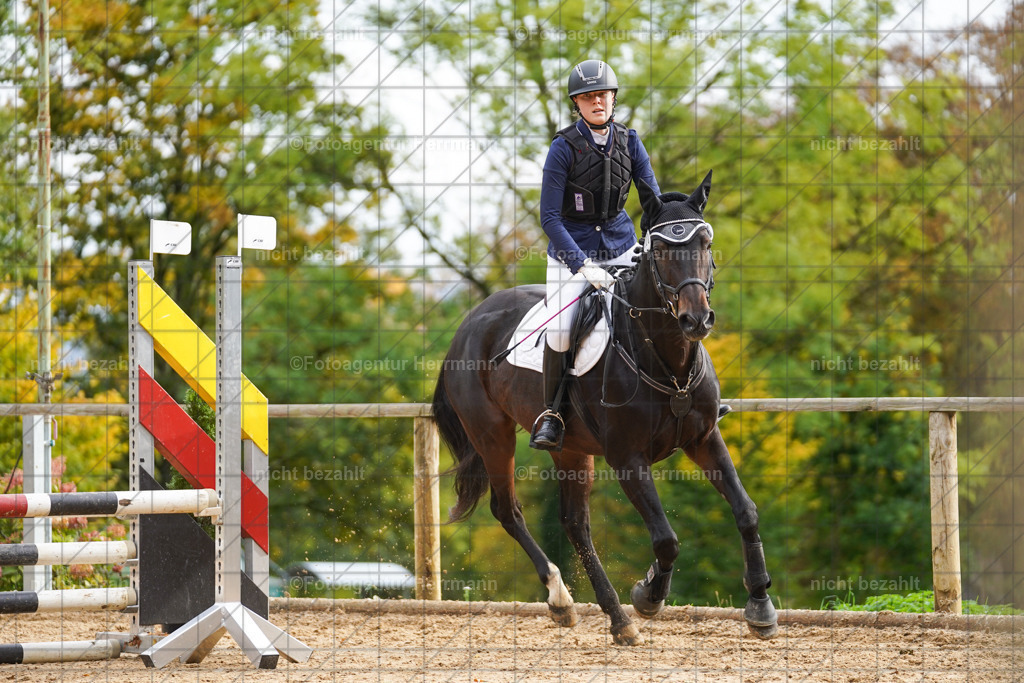 20221009-FAH08458 | Diessen am Ammersee, 2022, Dressur- und Springturnier, Reitsportbilder, Turnierfotografen Bayern, Pferdefotografen, Fotoagentur Herrmann, Turnierbilder