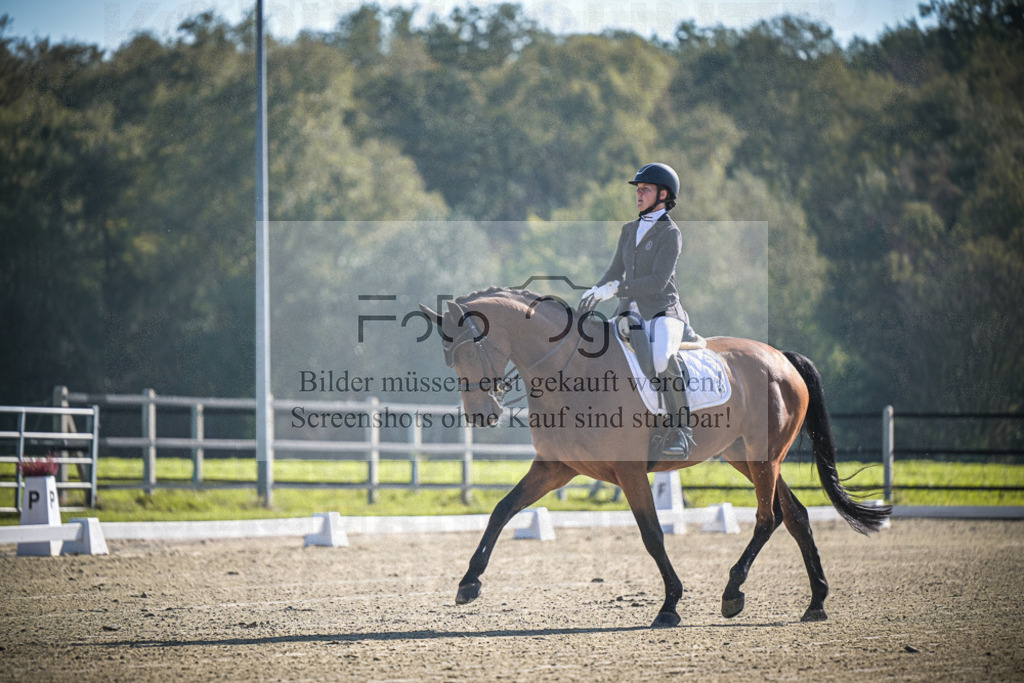 DOS_0082 | Entdecke hochwertige Reitturnierfotos von Foto Oger. Professionell, emotional und authentisch – jetzt Lieblingsmomente im Shop bestellen.Deutschlandweite Turnierfotografie. - Realisiert mit Pictrs.com