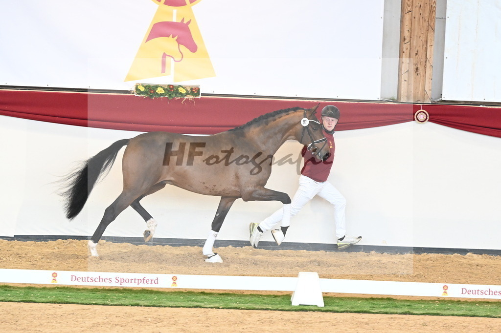 Kat.-Nr. 81 v. Vivino_Freisel_2241058 | hf-fotografie - Realisiert mit Pictrs.com
