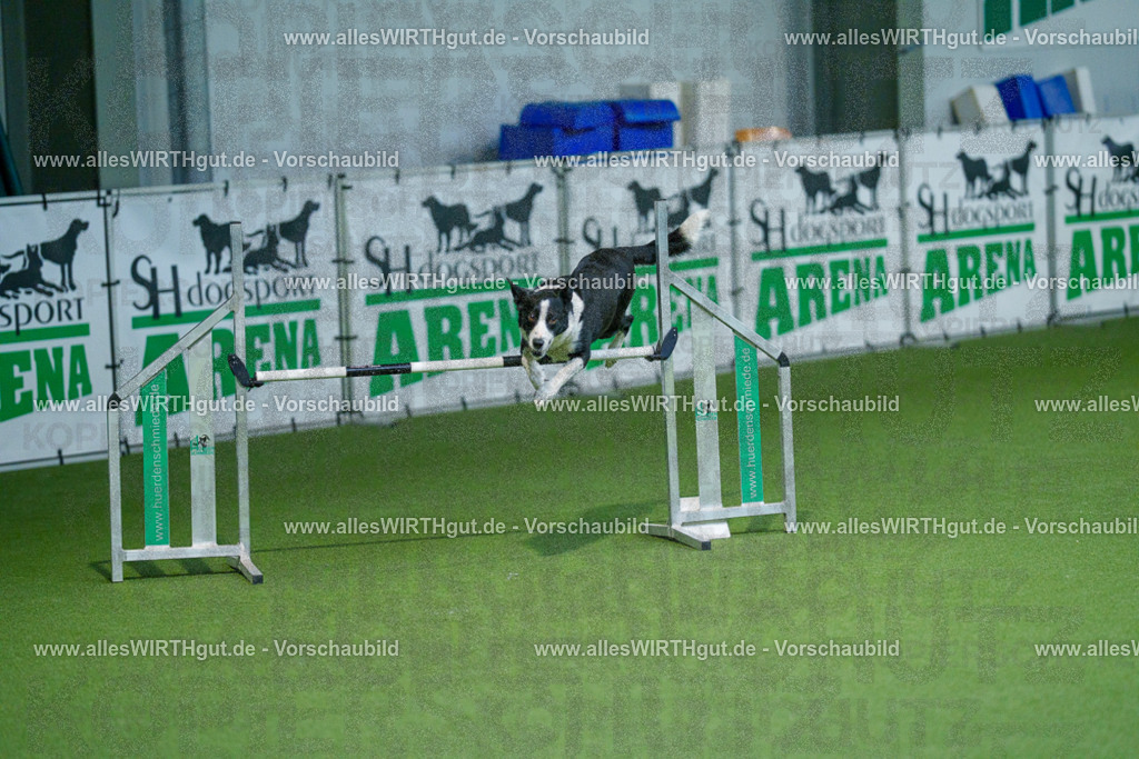 @allesWIRTHgut_Tierfotografie - www.allesWIRTHgut.de - 2604250949-7R509089 | Professionelle Tierfotografie in Mönchengladbach von Daniel Wirth (allesWIRTHgut). Liebevolle & natürliche Bilder von Hunden & Katzen für unvergessliche Erinnerungen.