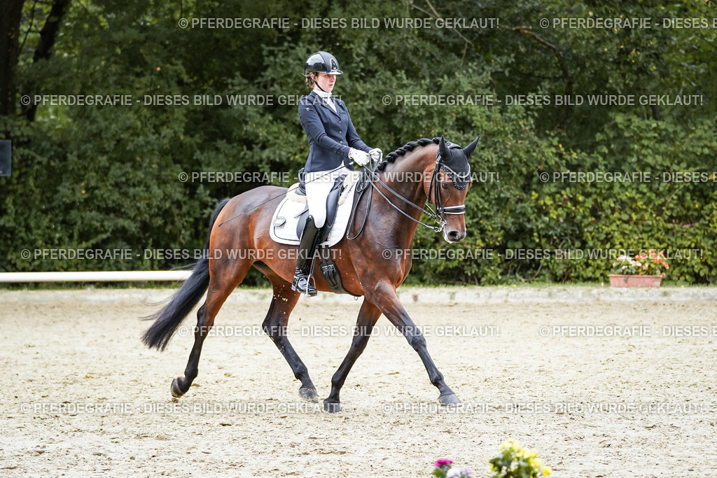 DSC01973 | Pferdegrafie