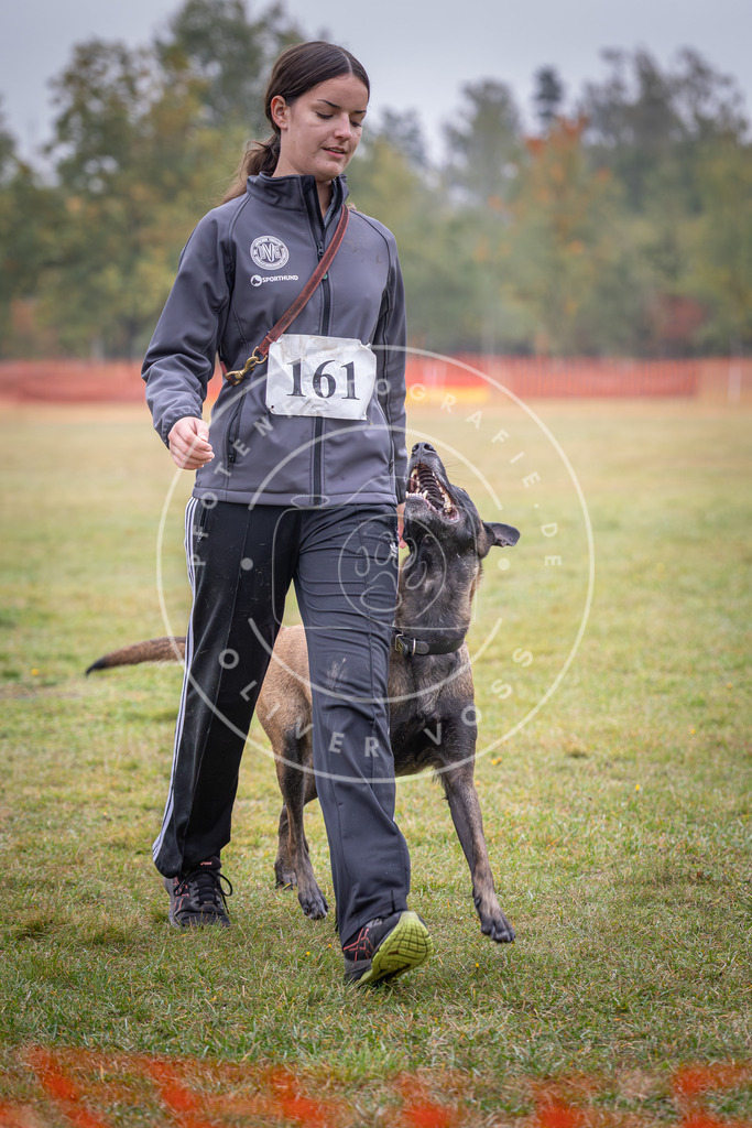 Pfotenfotografie_DV3A8770 | Hundefotografie, Tierfotograf, Pfotenfotografie, Fotoshooting Hund, Hunde Portrait, Hundesport, Hundeportraits, Heideshooting, Hunde, Sportfotograf, Hundefotograf, Turnierhundsport, THS,  - Realisiert mit Pictrs.com