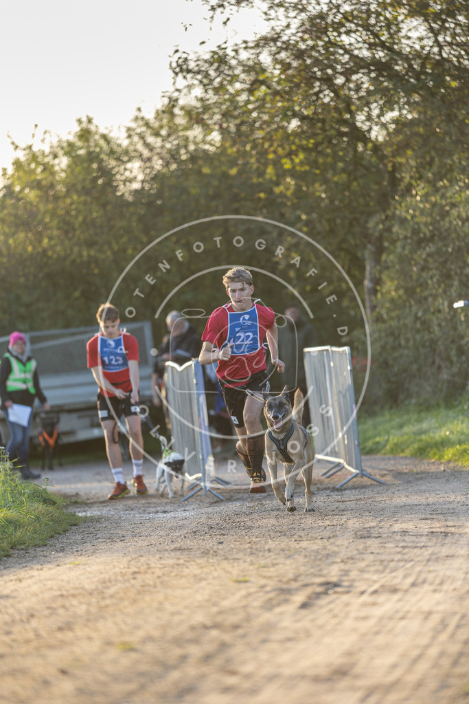 Pfotenfotografie.de_DV3A2385 | Hundefotografie, Tierfotograf, Pfotenfotografie, Fotoshooting Hund, Hunde Portrait, Hundesport, Hundeportraits, Heideshooting, Hunde, Sportfotograf, Hundefotograf, Turnierhundsport, THS, canicross - Realisiert mit Pictrs.com
