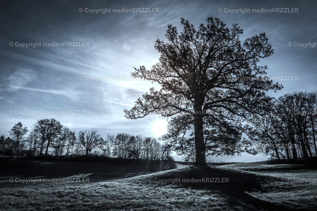 _J3A9054 | medienkrizzler - Realisiert mit Pictrs.com