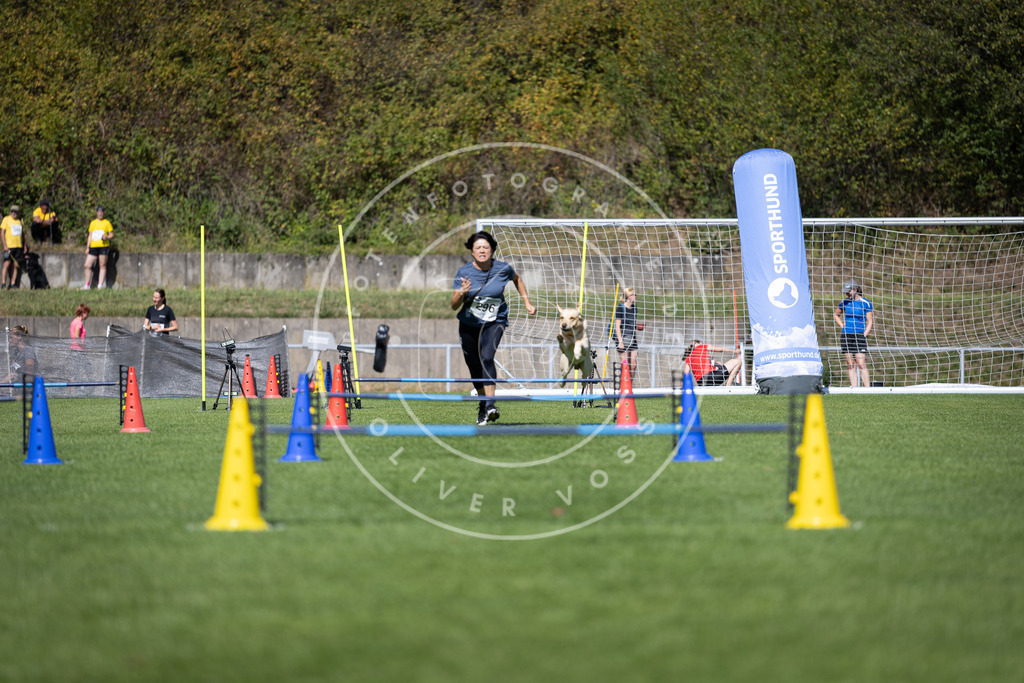 Pfotenfotografie_DV3A7606 | Hundefotografie, Tierfotograf, Pfotenfotografie, Fotoshooting Hund, Hunde Portrait, Hundesport, Hundeportraits, Heideshooting, Hunde, Sportfotograf, Hundefotograf, Turnierhundsport, THS,  - Realisiert mit Pictrs.com