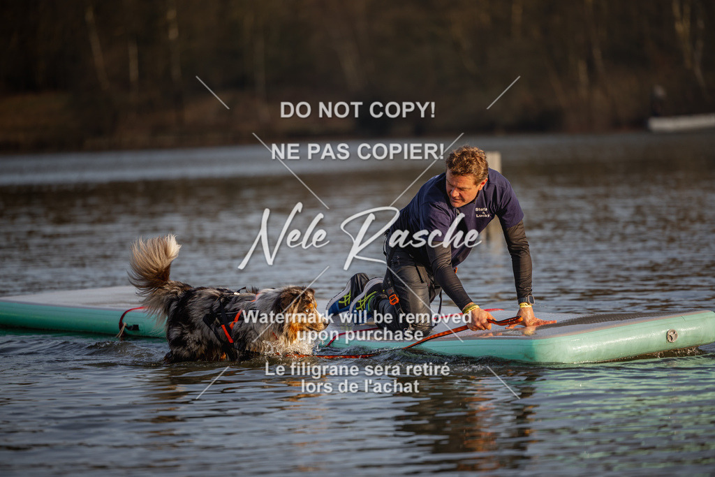 nelerasche_Hulsbeek_Sa1700-1730_298 | nelerasche
