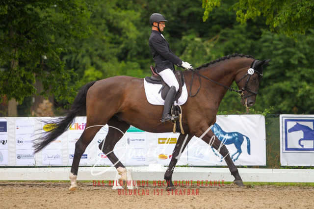 DKP41671 | Turniersportfotografie; Pferdefotografie; Dressurfotografie